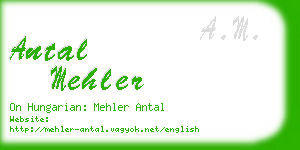 antal mehler business card